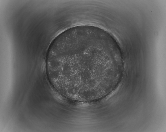 X0000111841505200908131407