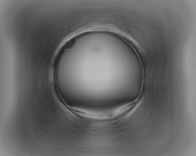 X0000111841506200908131407