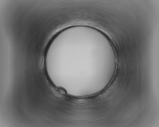 X0000111841507200908131407