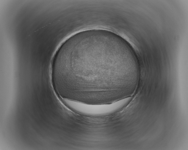 X0000111841508200908131407