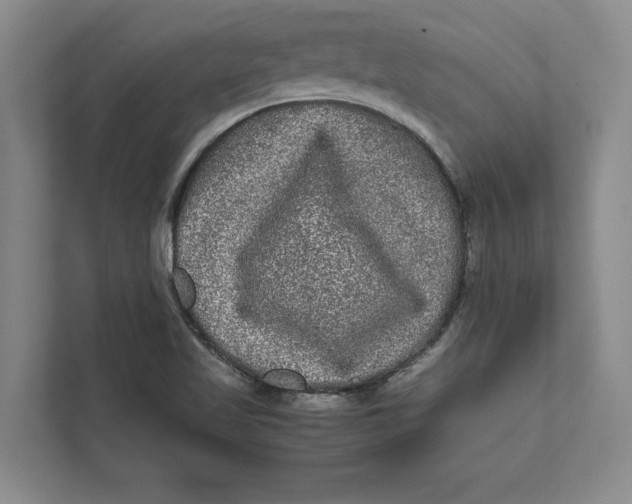 X0000111841509200908131407