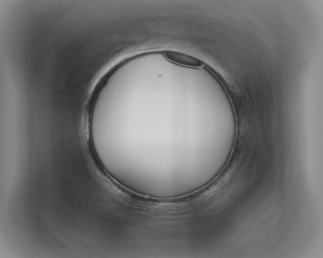 X0000111841510200908131407