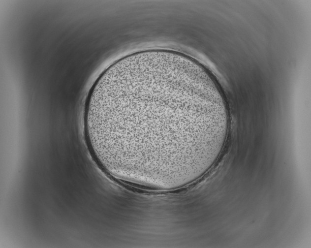 X0000111841512200908131407