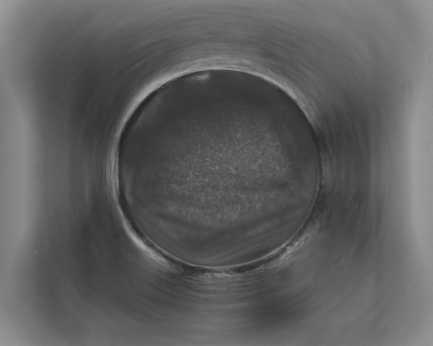 X0000111841515200908131408