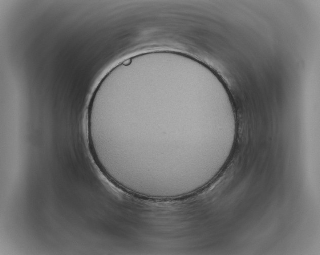 X0000111841516200908131408