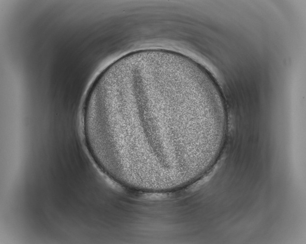 X0000111841517200908131408