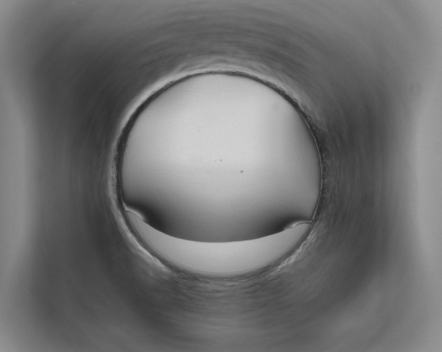 X0000111841518200908131408