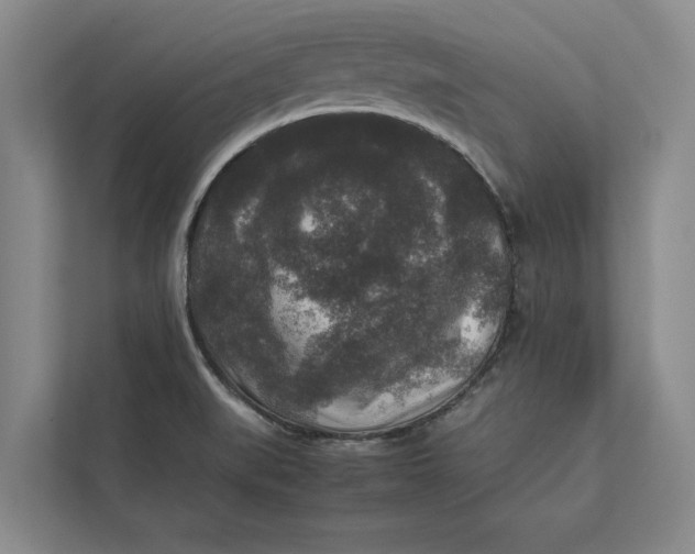 X0000111841519200908131408