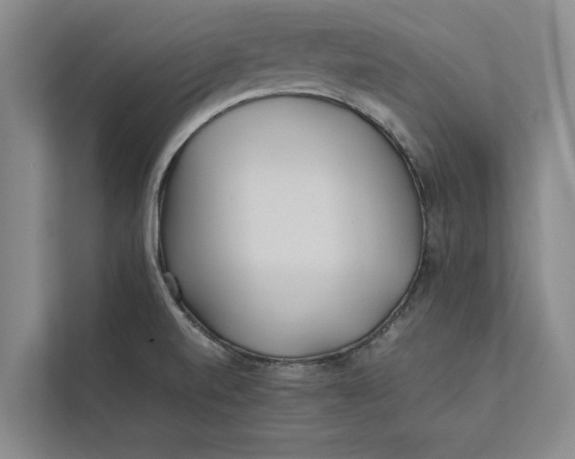 X0000111841520200908131408