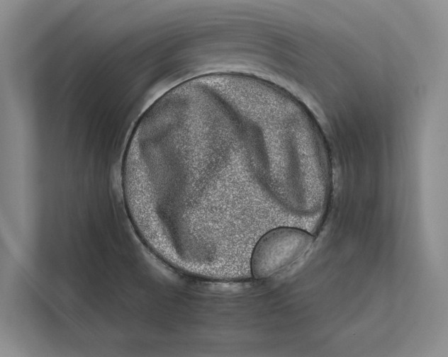 X0000111841521200908131408