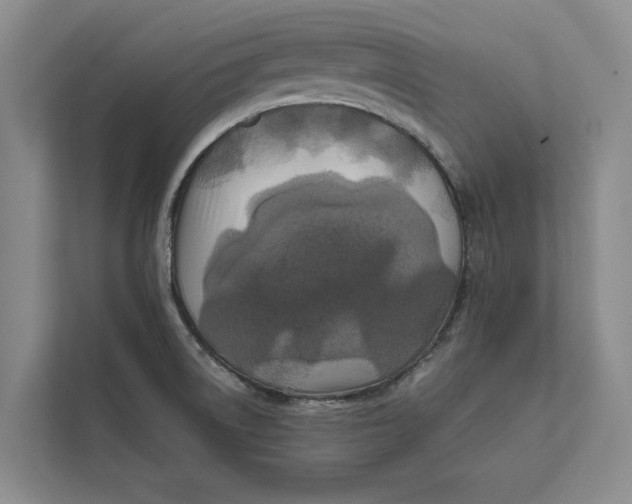 X0000111841522200908131408