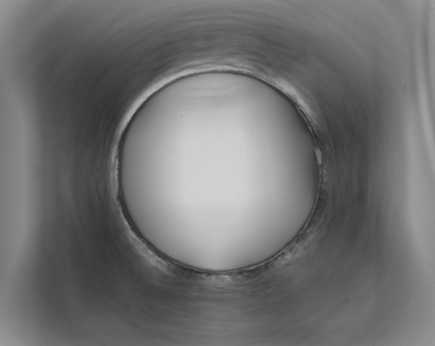 X0000111841524200908131408