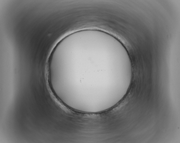 X0000111841526200908131408