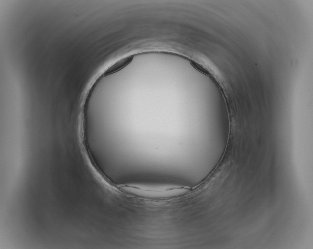 X0000111841528200908131408