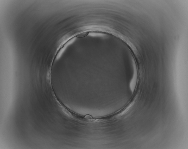 X0000111841529200908131408