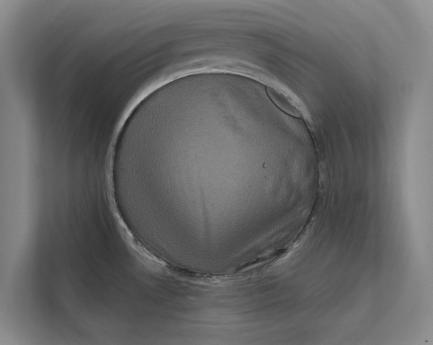 X0000111841530200908131408