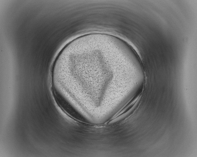 X0000111841531200908131408