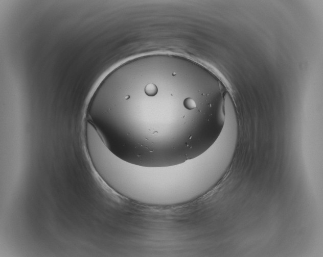 X0000111841532200908131408