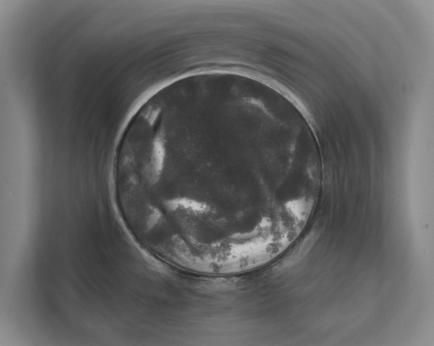 X0000111841533200908131408