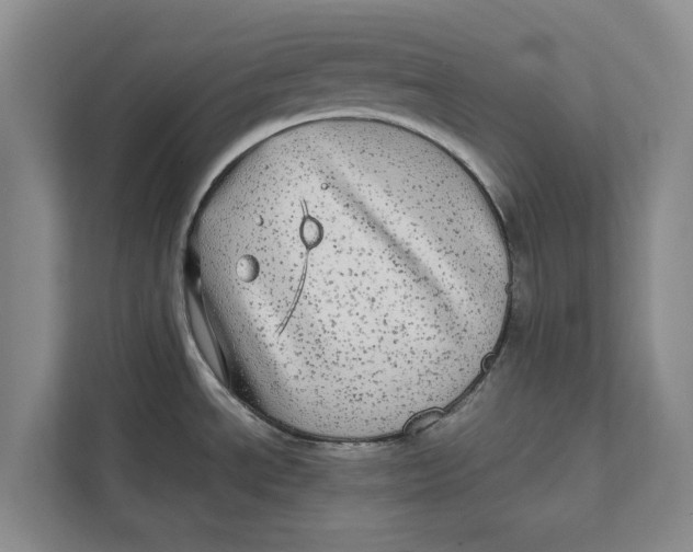 X0000111841534200908131408