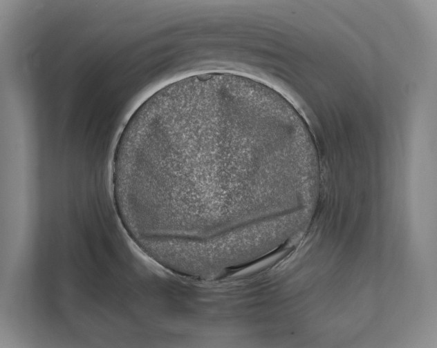 X0000111841535200908131408