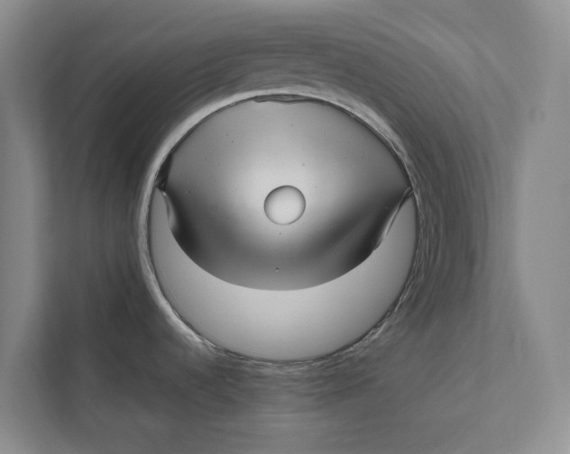 X0000111841536200908131408