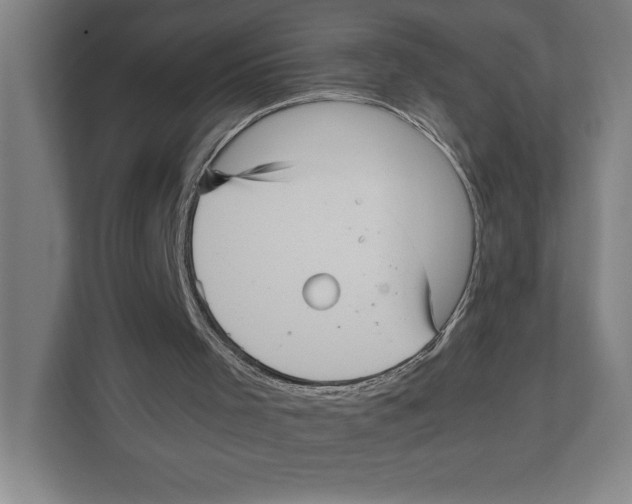 X0000111840001200908201226