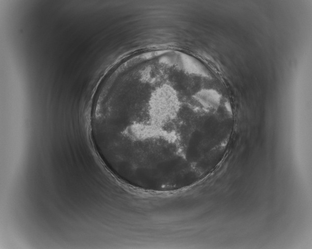 X0000111840002200908201226