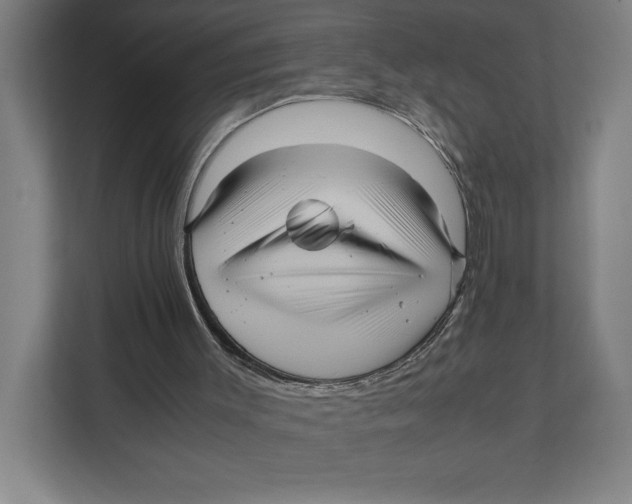 X0000111840003200908201226