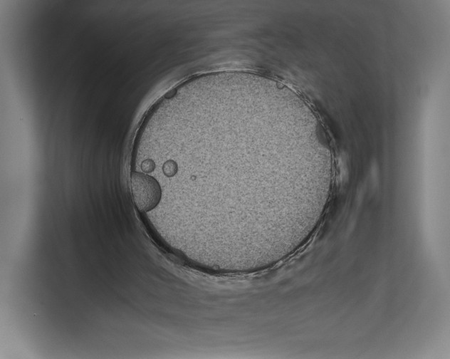 X0000111840004200908201226