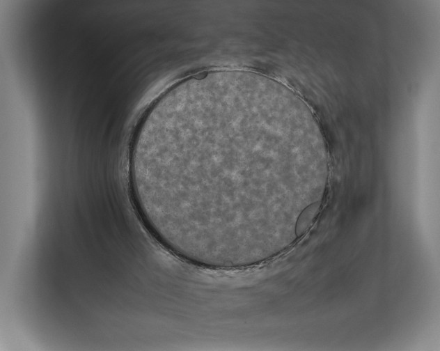 X0000111840005200908201226