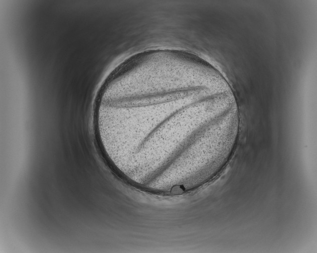 X0000111840008200908201226