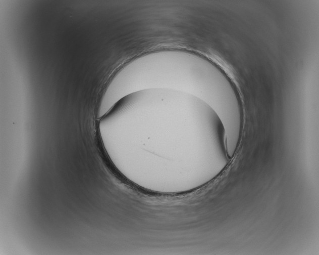 X0000111840009200908201226