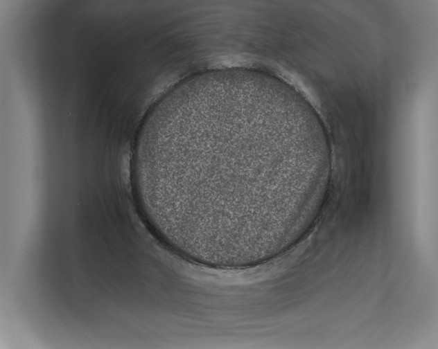 X0000111840010200908201226