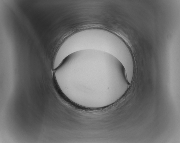 X0000111840013200908201226