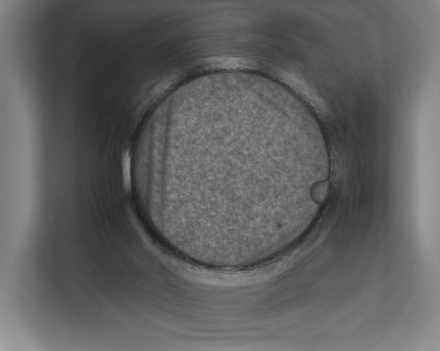 X0000111840014200908201226