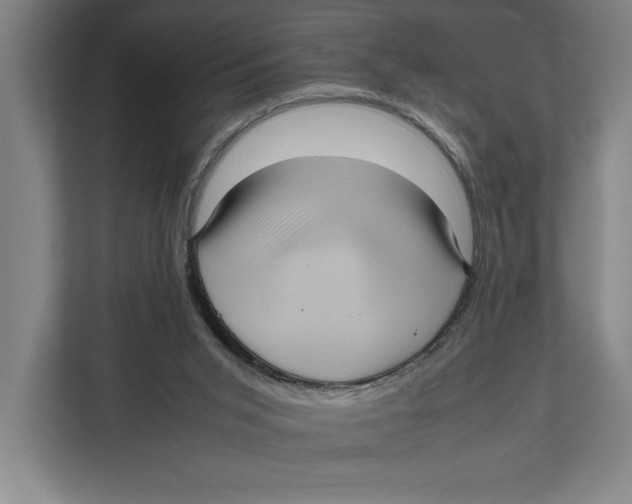 X0000111840015200908201226