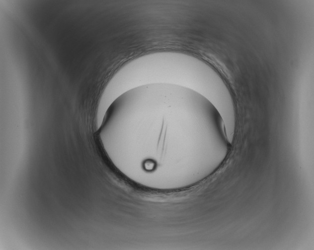 X0000111840017200908201226