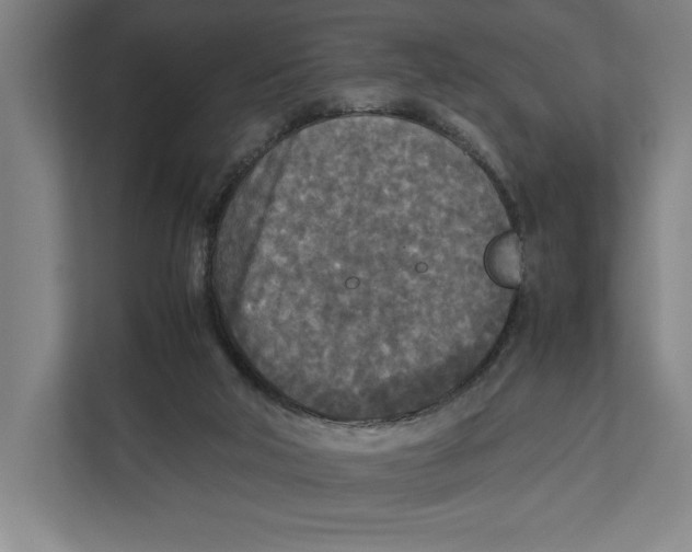 X0000111840018200908201226