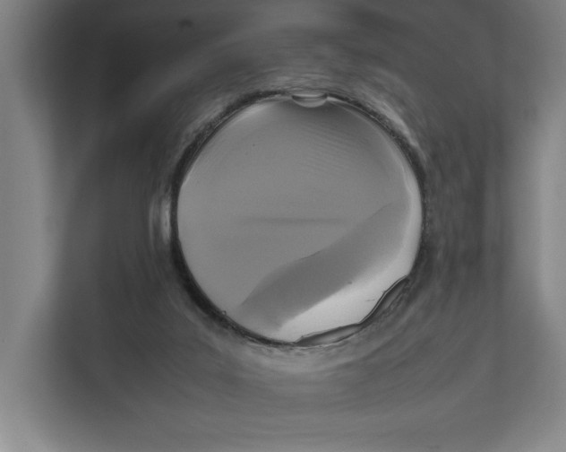 X0000111840019200908201226