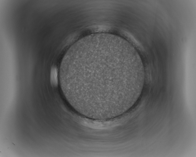 X0000111840022200908201226