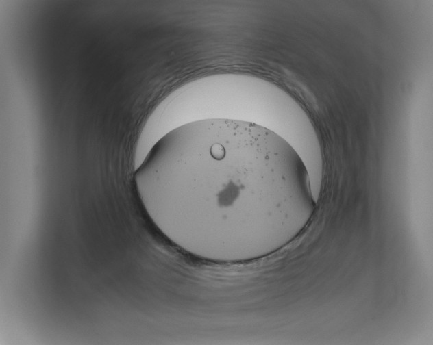 X0000111840025200908201226