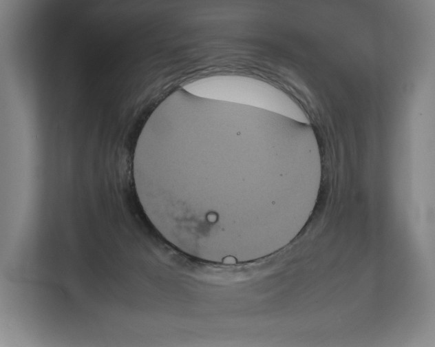 X0000111840029200908201226