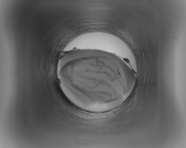 X0000111840031200908201226