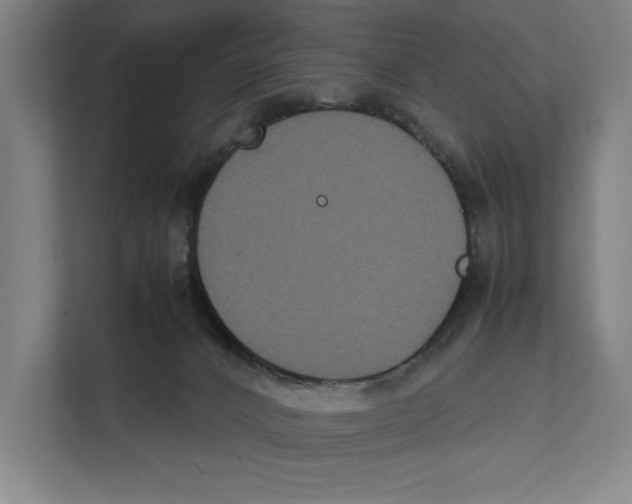 X0000111840032200908201226