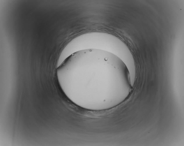 X0000111840033200908201226