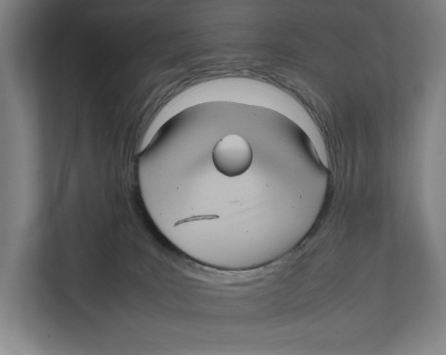 X0000111840035200908201226