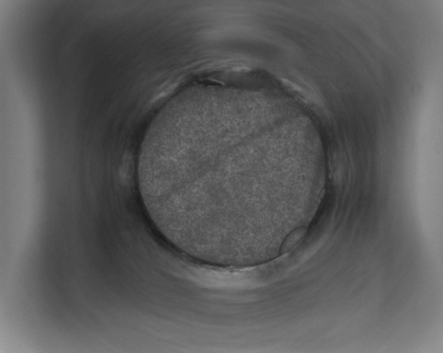 X0000111840036200908201226