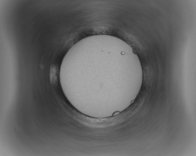 X0000111840038200908201226