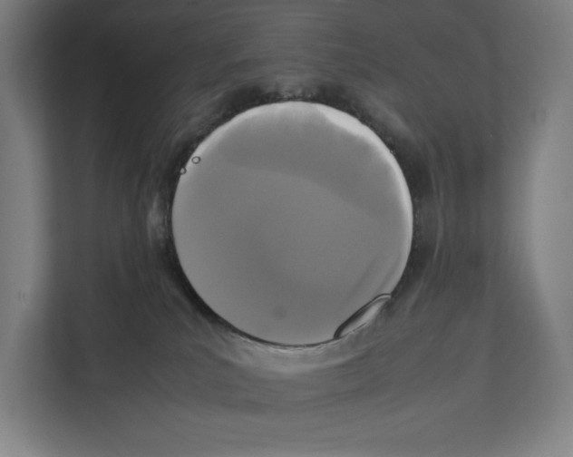 X0000111840039200908201226